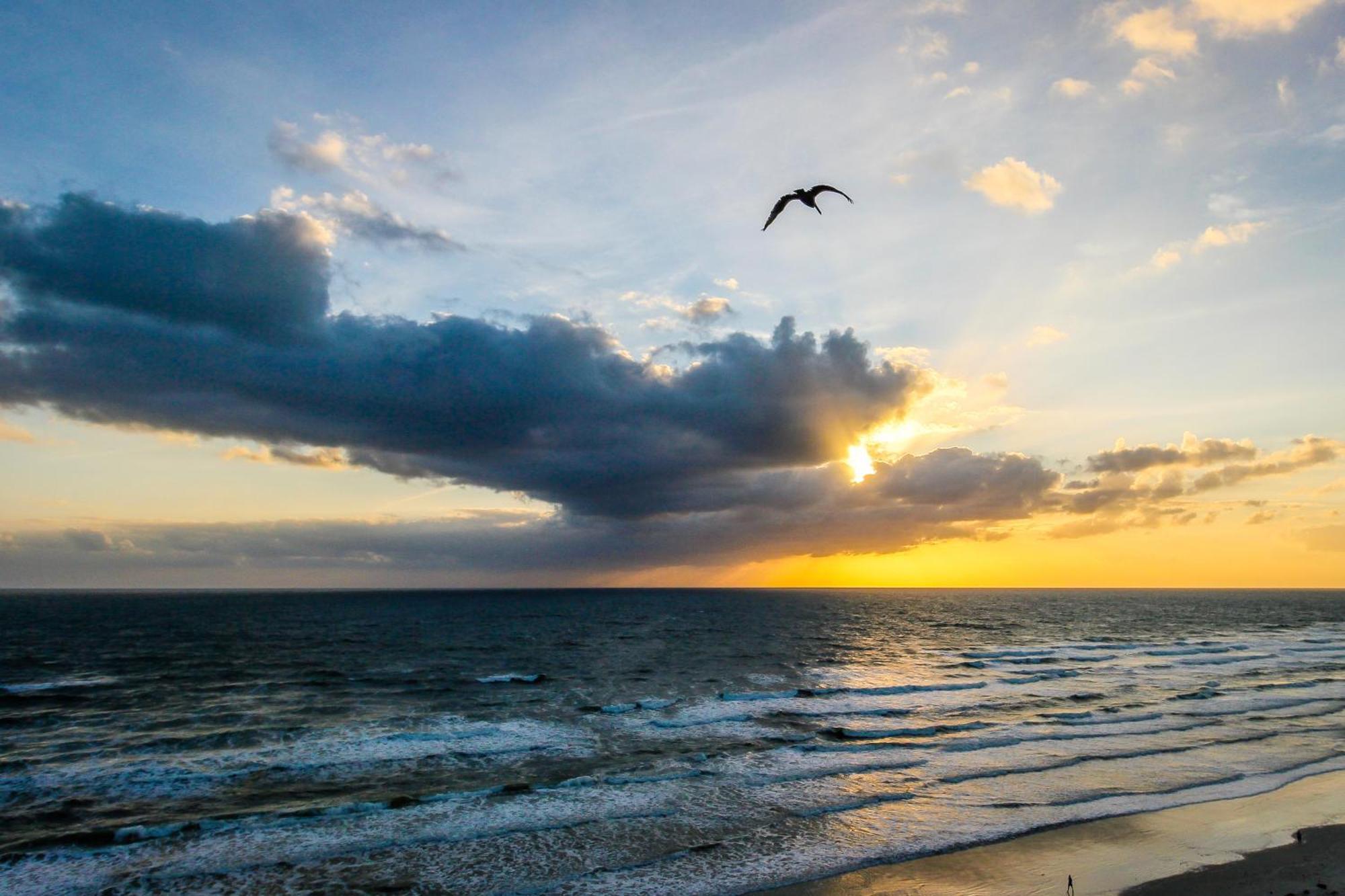 Harbour Beach Resort Daytona Beach Ruang foto